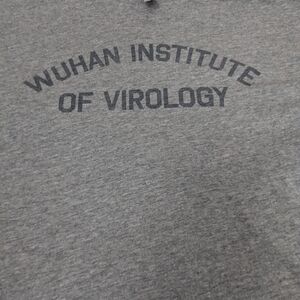 Wuhan Institute Of Virology Grey Tee Large